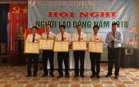 Cao su Việt – Lào phấn đấu khai thác 17.500 tấn mủ